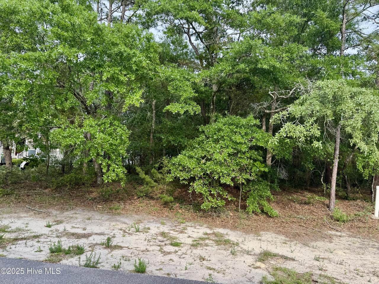 138 8th Street - Photo 1