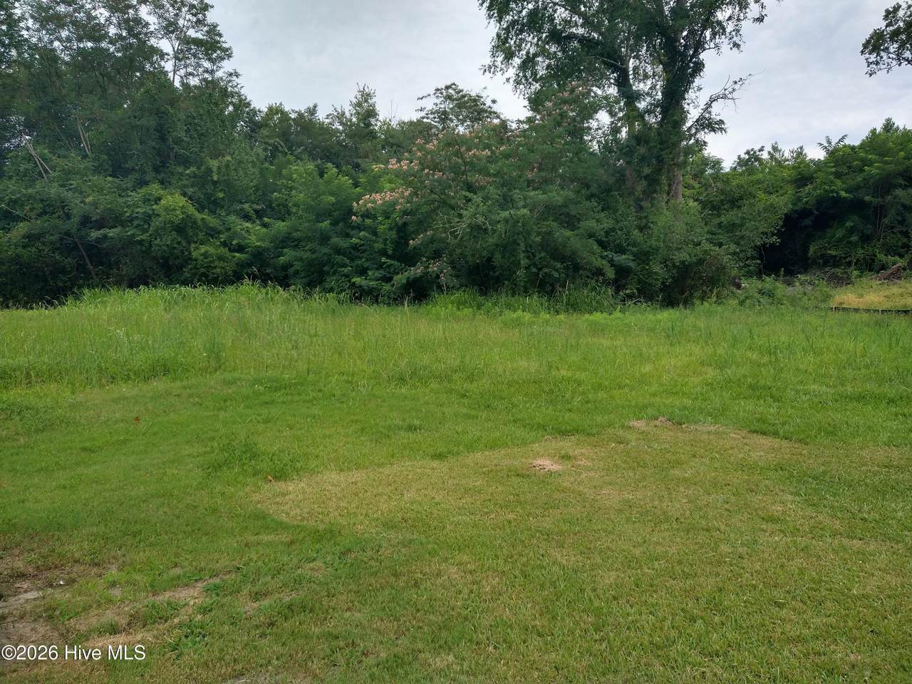 2231 Birnam Place - Photo 1
