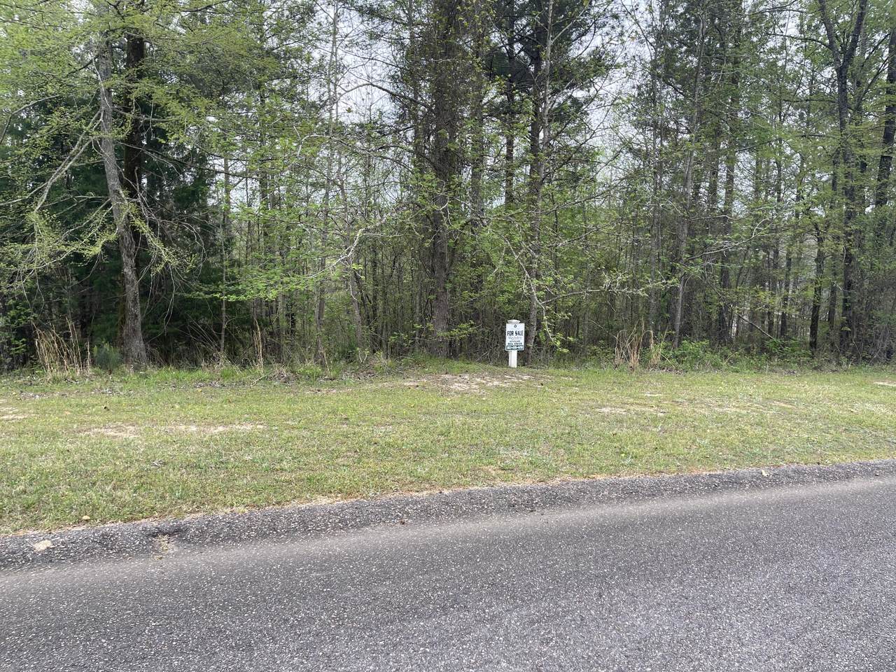 Lot G-10 James Booth Court - Photo 1