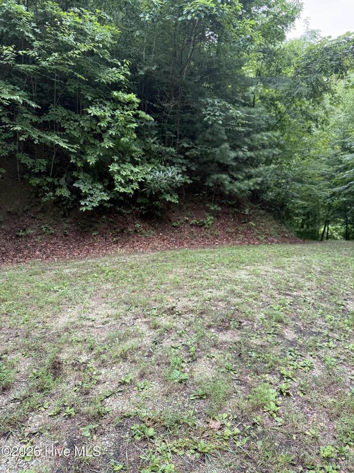 Lot 4 Mountain Vista Lane - Photo 1
