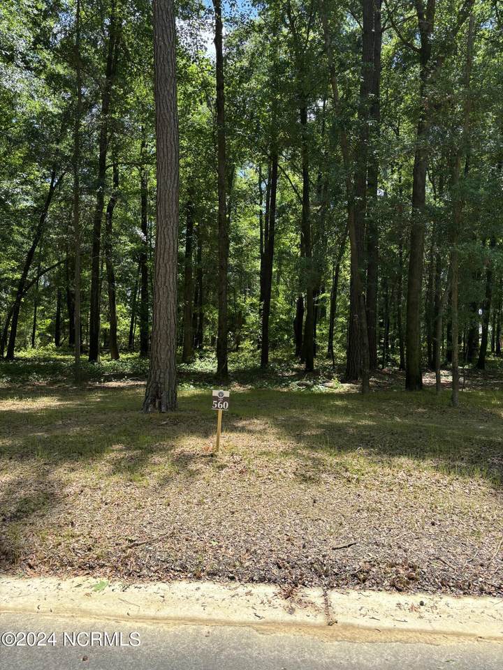 410 Old Forest Drive - Photo 1