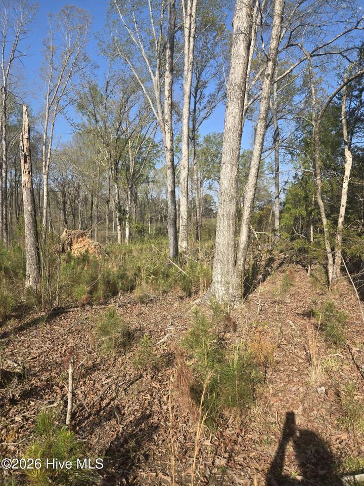 0 Mercier Road - Photo 1