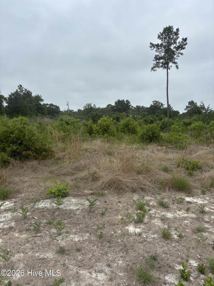 Lot 22 General Lee Lane - Photo 1