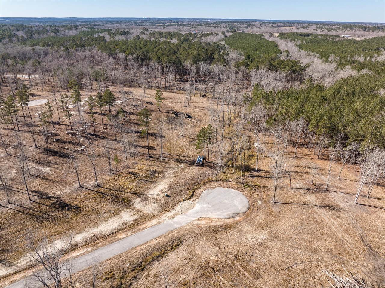 167 Alcovy Road - Photo 1