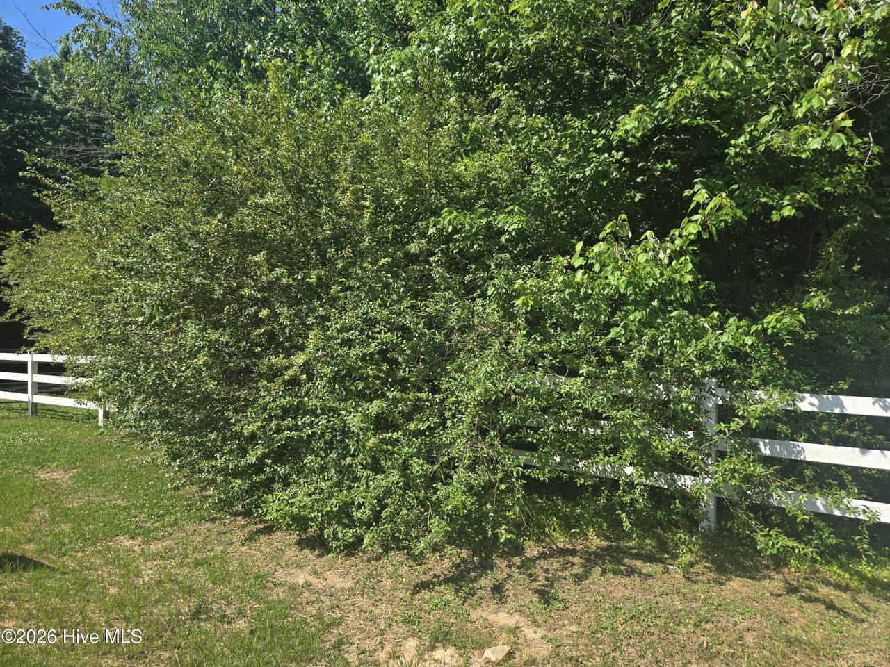 https://bt-photos.global.ssl.fastly.net/ncreg/1280_boomver_1_6ea5f8ab9f2c733f4e0e8a9ae613d643-2.jpg