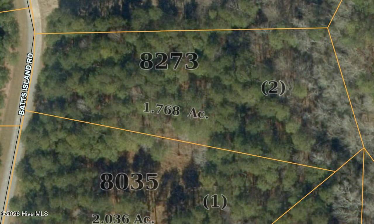 708 Batts Island Road - Photo 1