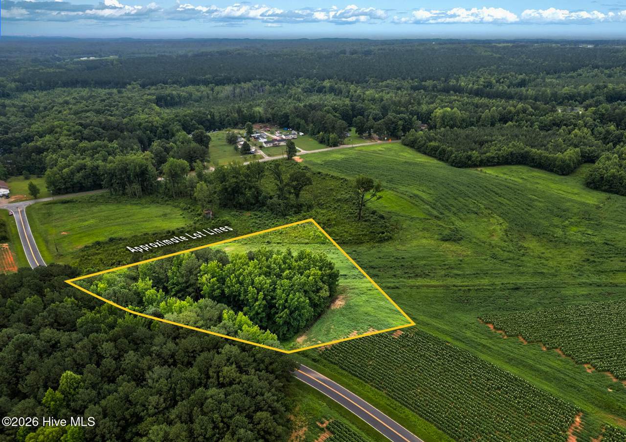 Lot 9 Murray Loop Road - Photo 1
