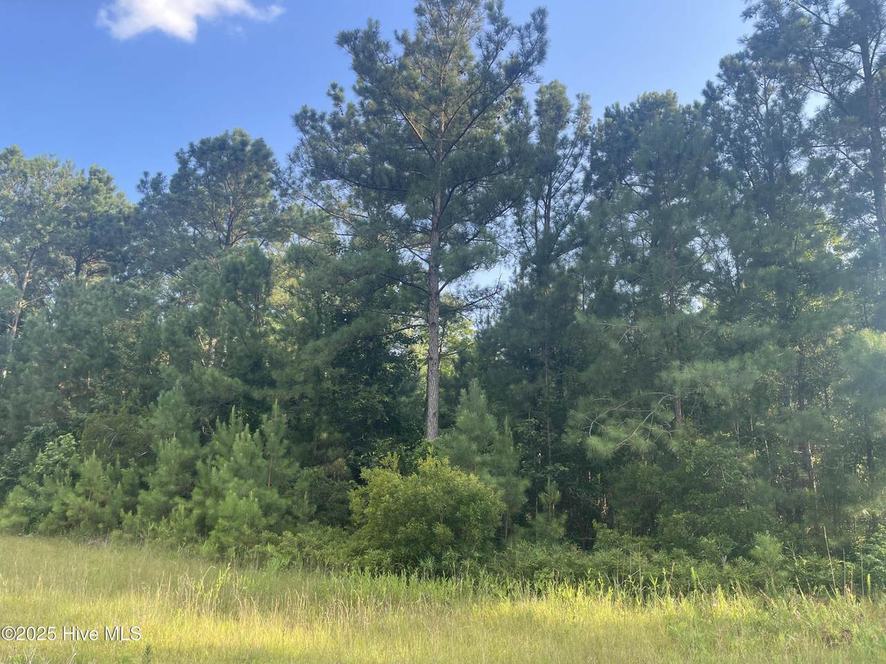 61 Arant Farm Road - Photo 1