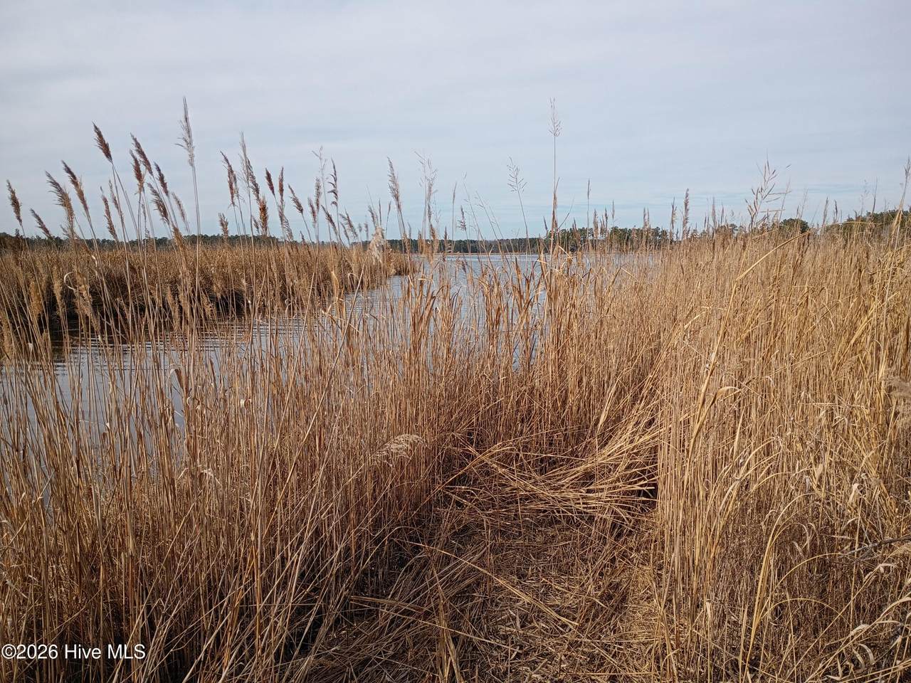 https://bt-photos.global.ssl.fastly.net/ncreg/1280_boomver_1_6f6789225383fcf651ffa310f0d2894b-2.jpg