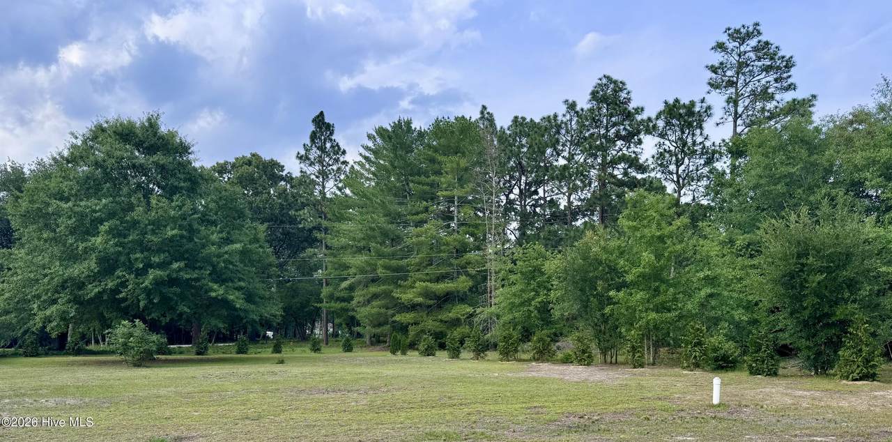 12341 Mallard Creek Drive - Photo 1