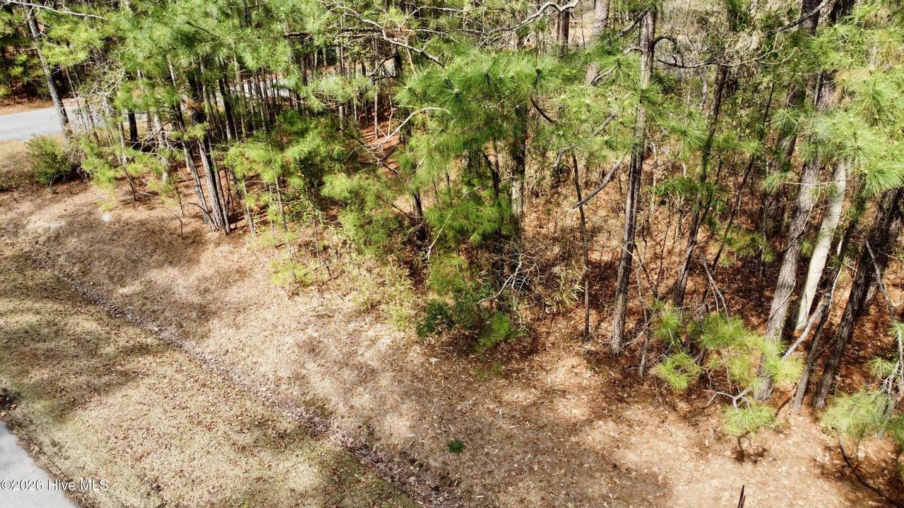 00 Doris Drive - Photo 1