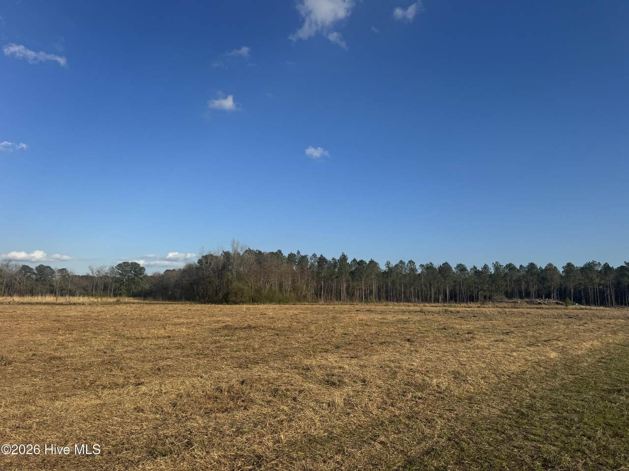 0 Old Fayetteville Road - Photo 1