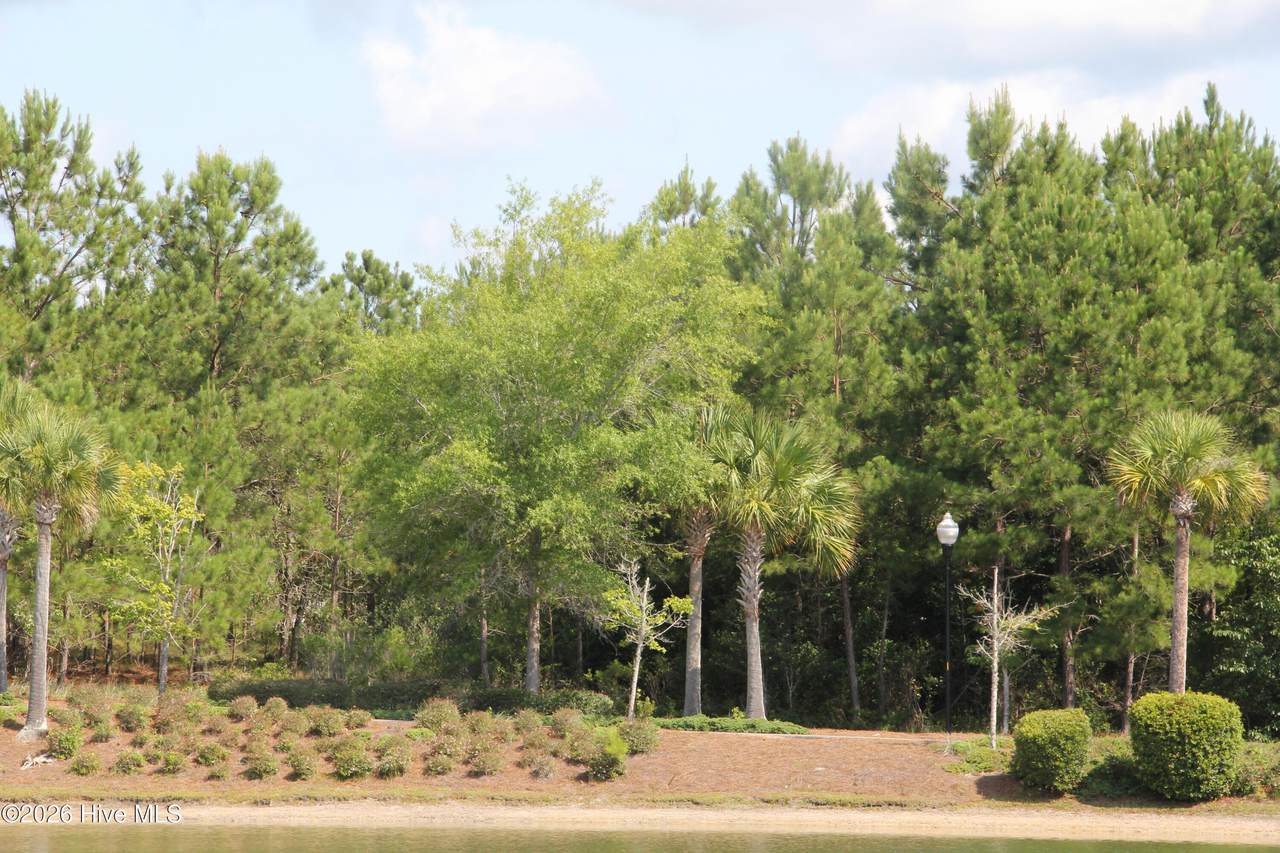 3009 Arundel Hill - Photo 1