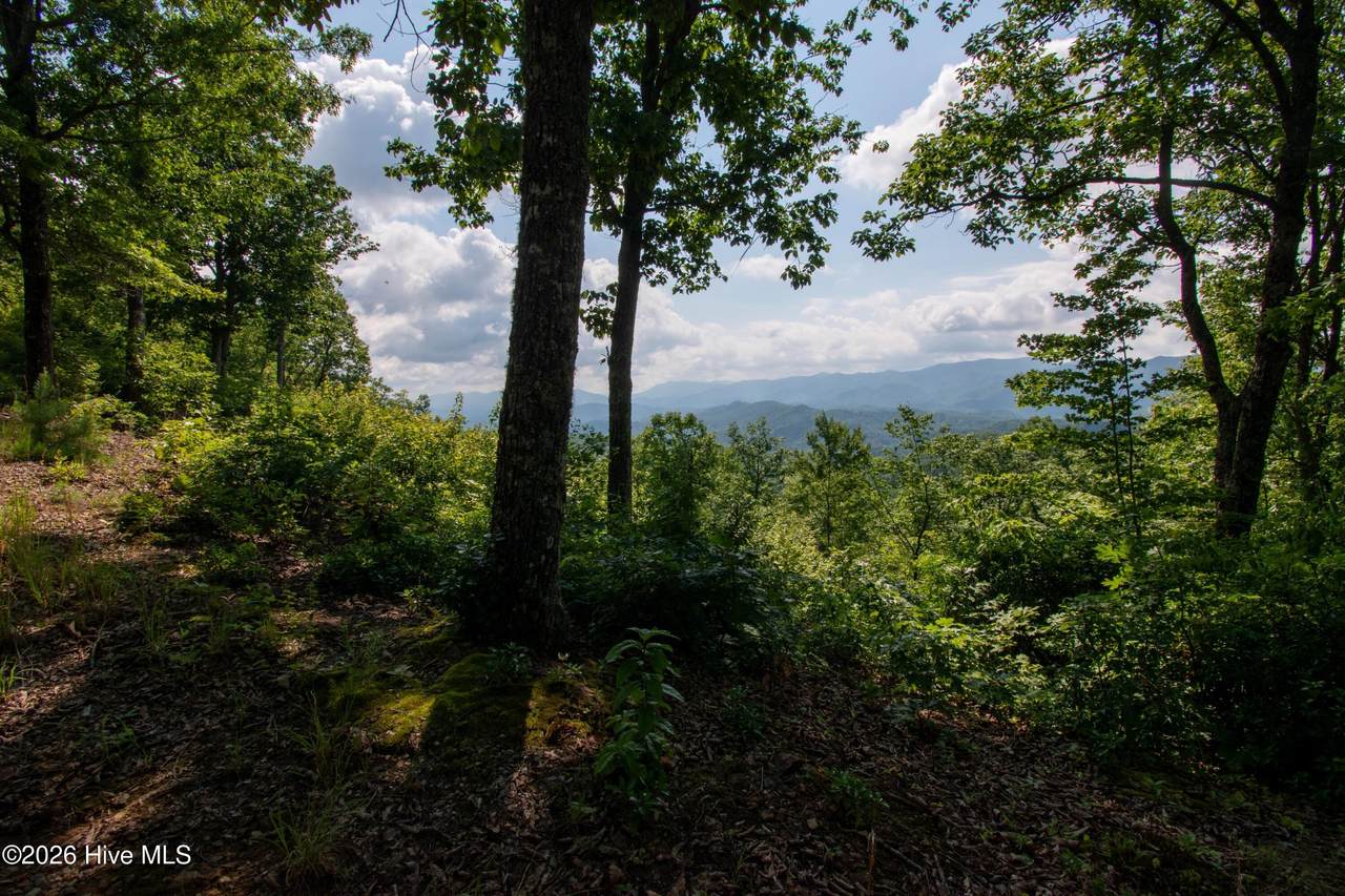 850 Bluff Road - Photo 1