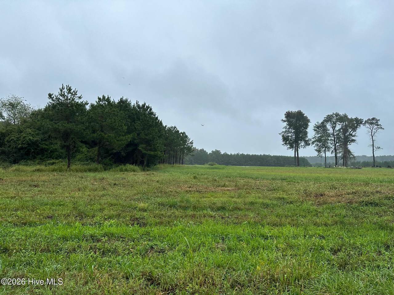 7026 Nc Highway 55 - Photo 1