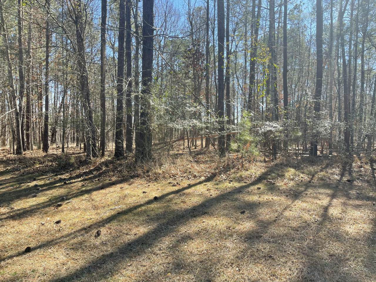 Lot H-57 Longstreet Place - Photo 1