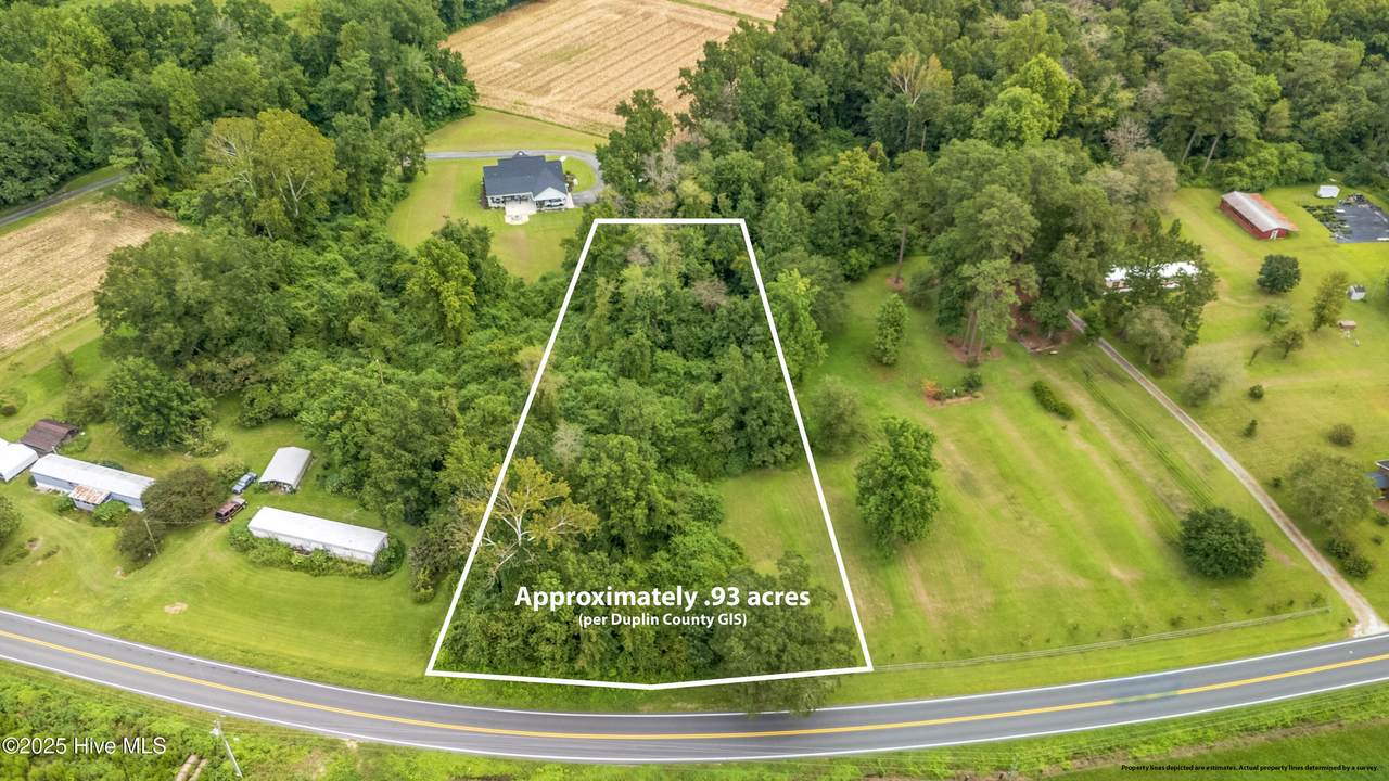1315 Deep Bottom Road - Photo 1