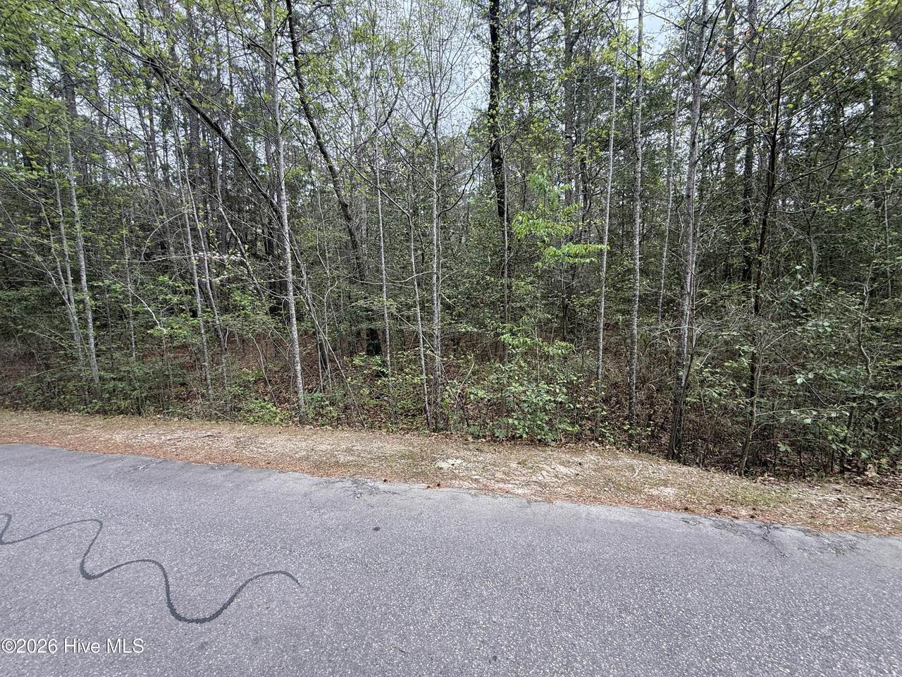 362 Thimbleberry Drive - Photo 1