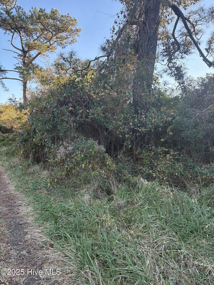 196 Styron Creek Road - Photo 1