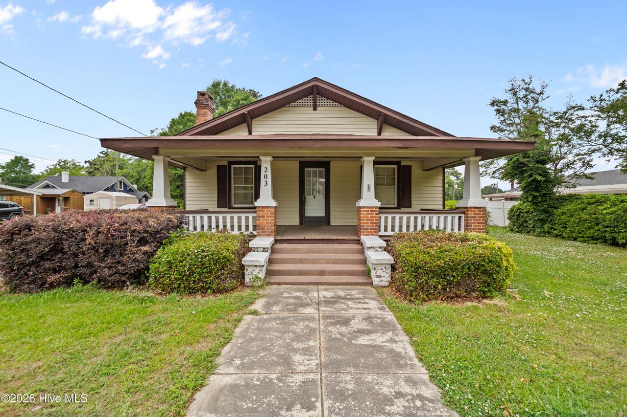 203 Clinton Street - Photo 1