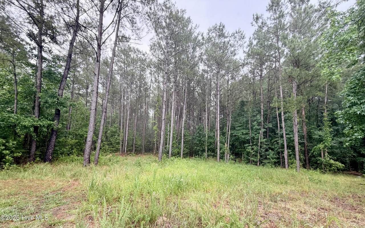 Tract F Us 421 Highway - Photo 1