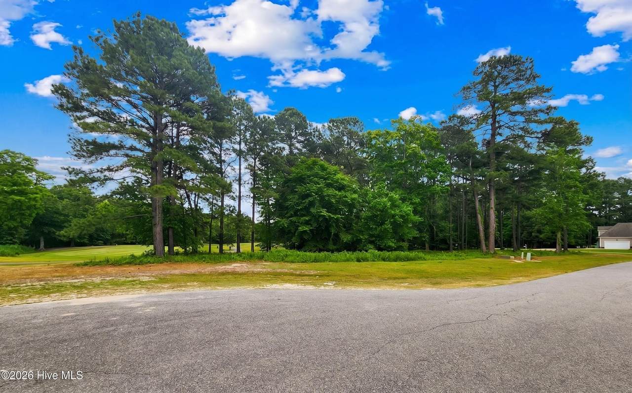 142 Scuppernong River Drive - Photo 1