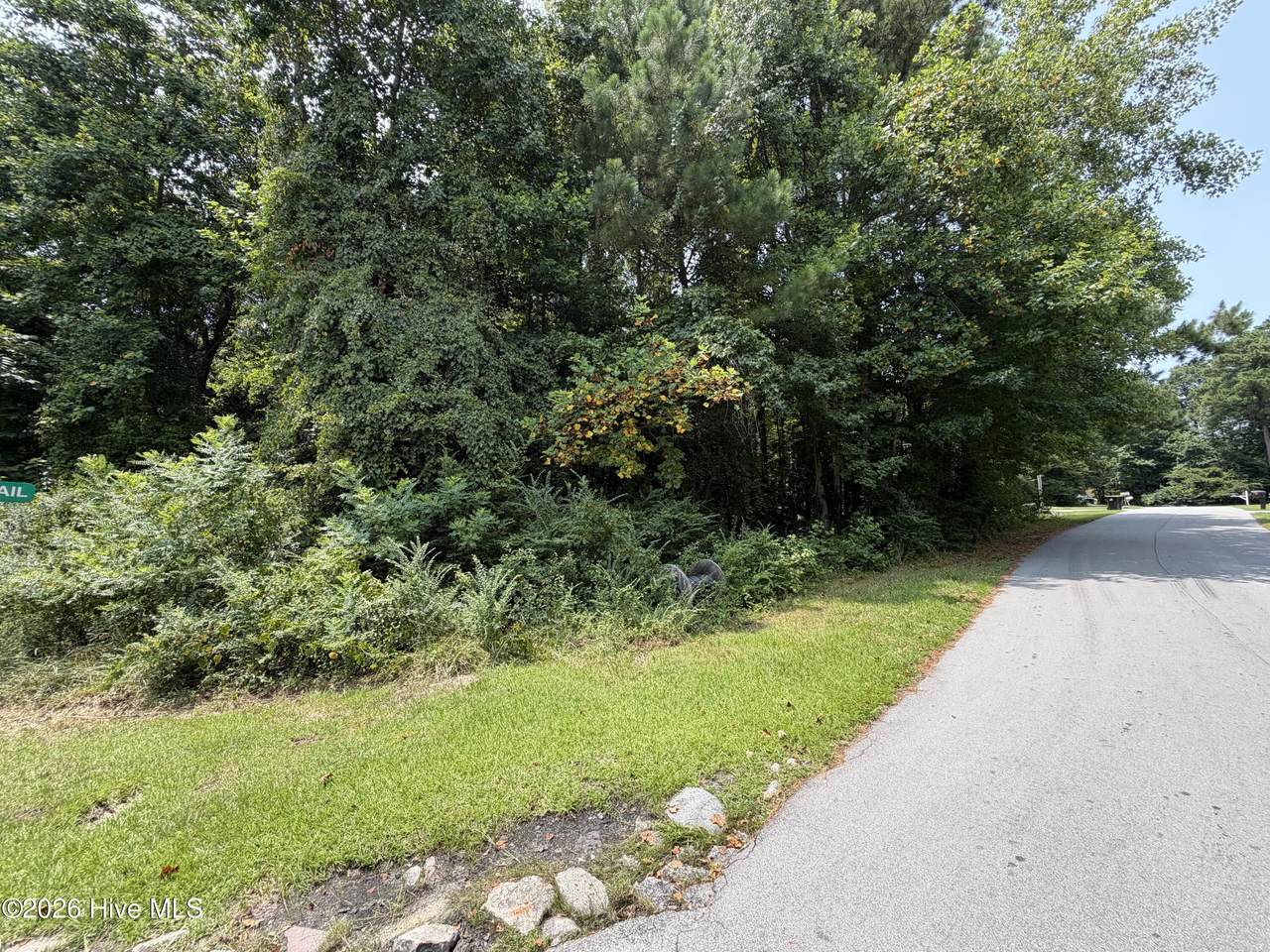 919 Mandarin Trail - Photo 1
