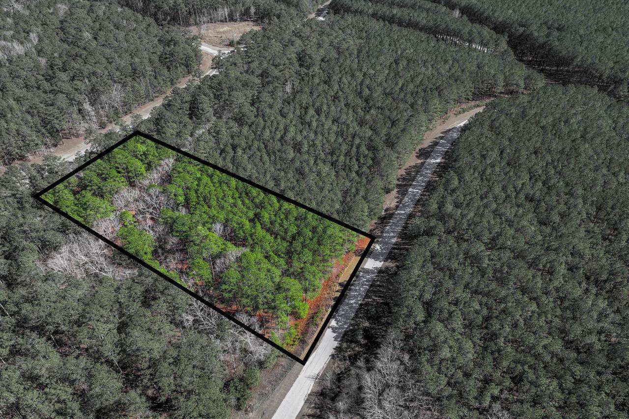 1265 Rogers Road - Photo 1