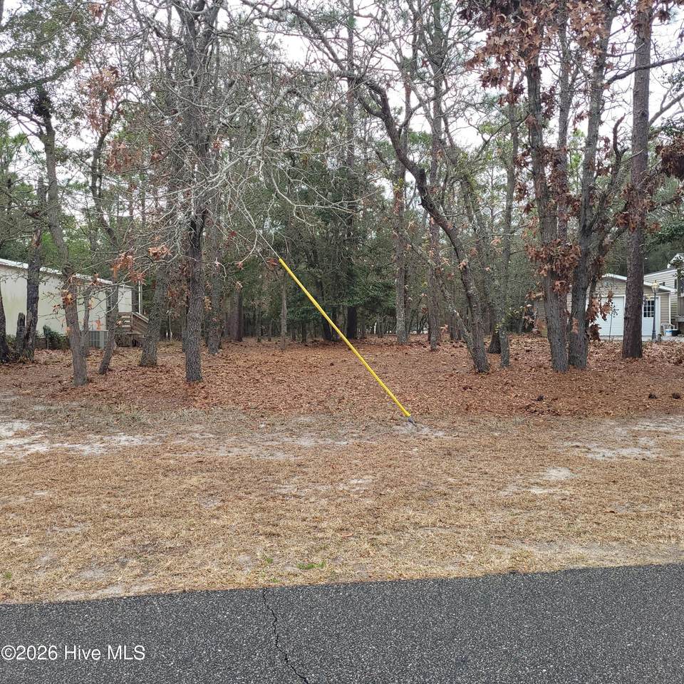 3317 Marlin Drive - Photo 1