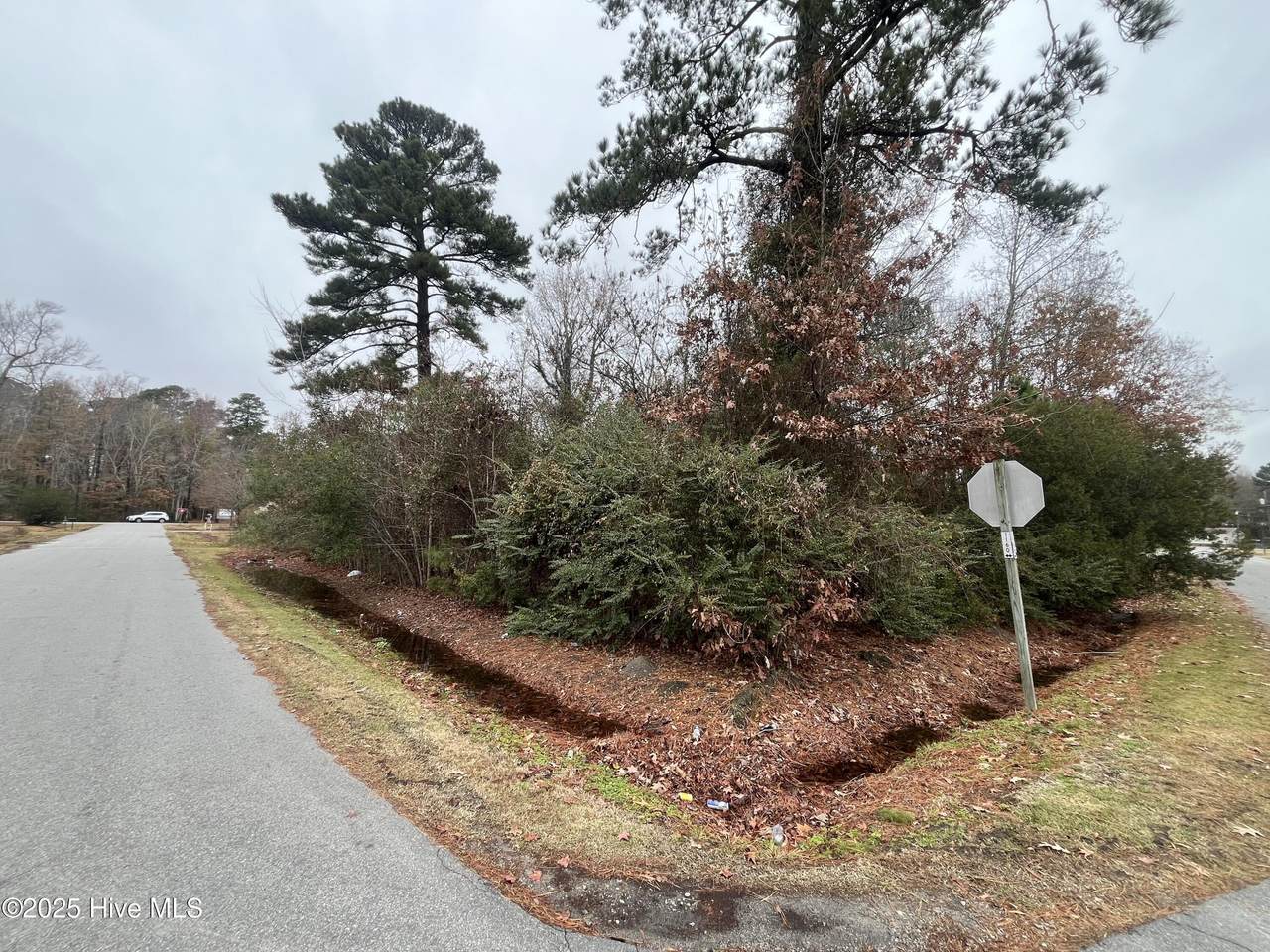 307 Pineview Drive - Photo 1