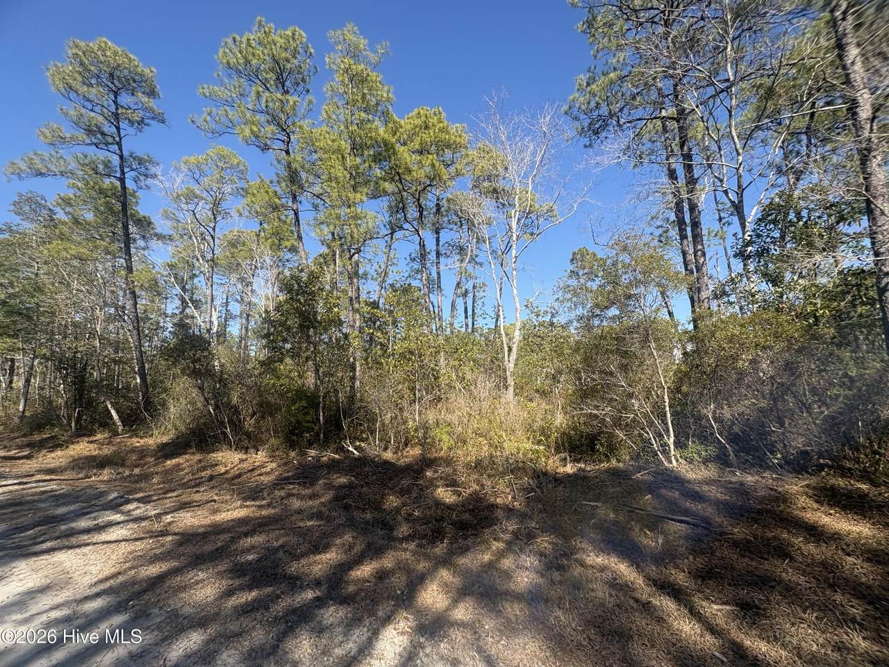 516 Barclay Road - Photo 1