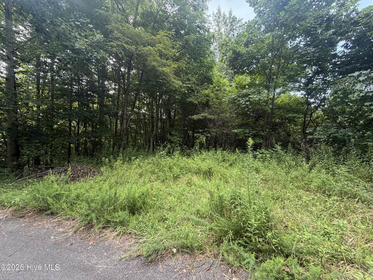 Lot# 30 Highlander Road - Photo 1
