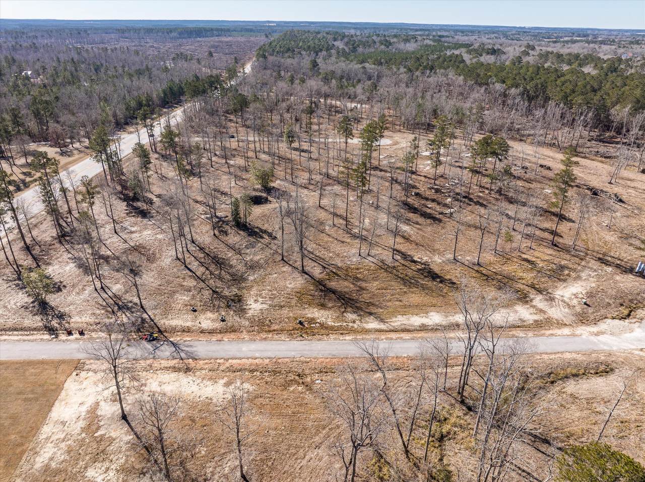155 Alcovy Road - Photo 1