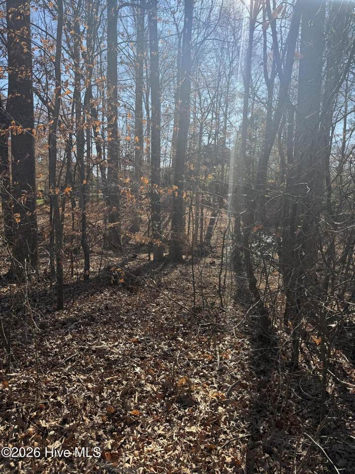 3189 Abbey Road - Photo 1