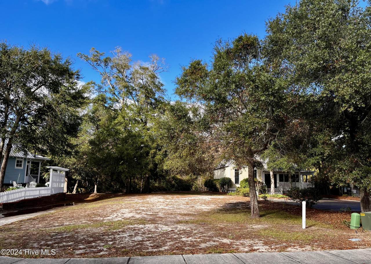 202 Fire Fly Lane - Photo 1