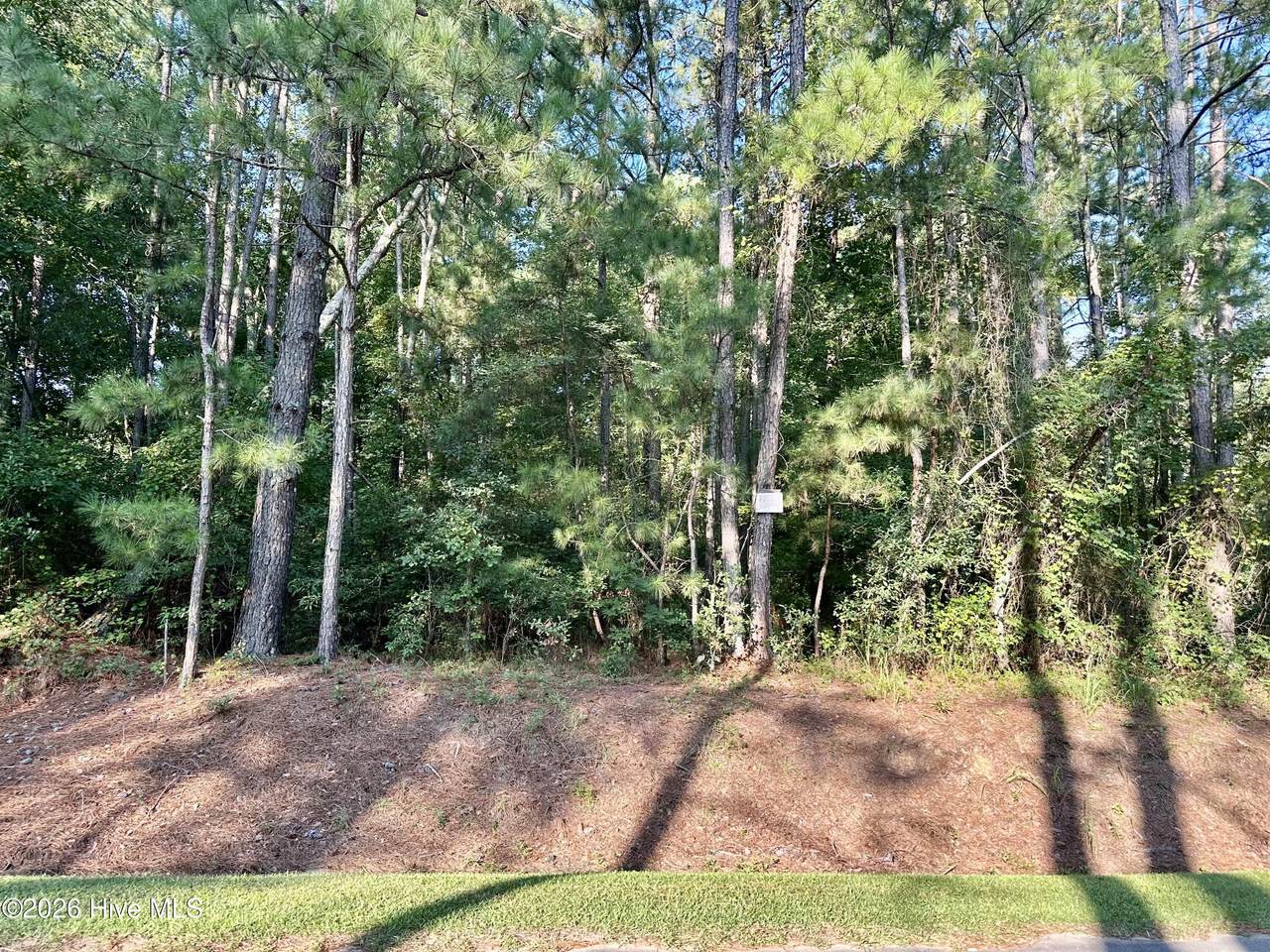Tbd Stokes Road - Photo 1