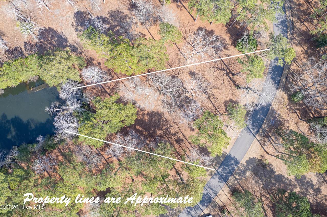 749 Loblolly Drive - Photo 1