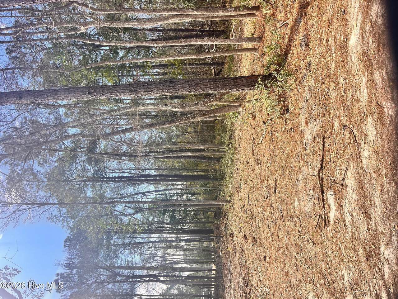 569 3rd Street - Photo 1