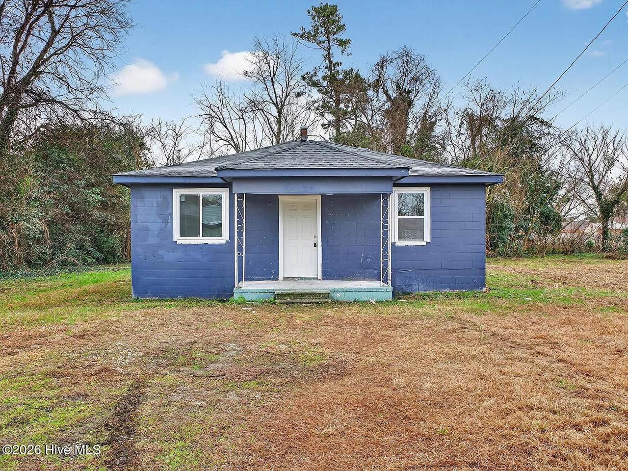 254 Japonica Avenue - Photo 1