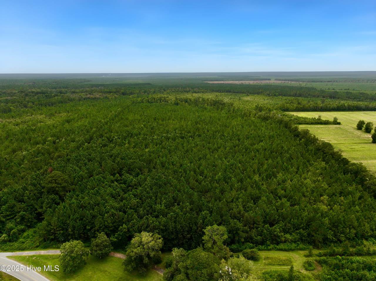 00 White Oak River Road - Photo 1