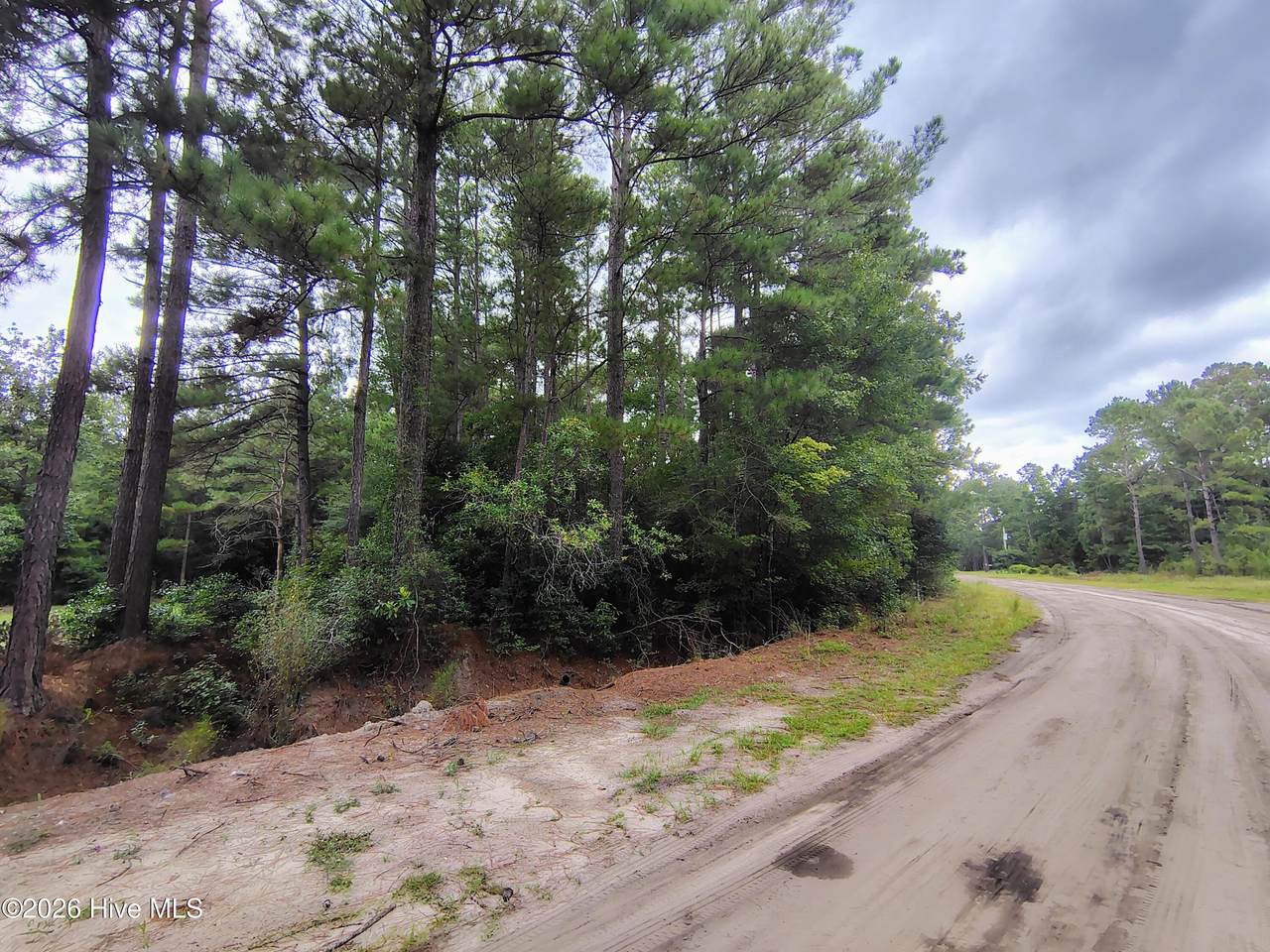 Lot 45 Near 519 Deer Lane - Photo 1