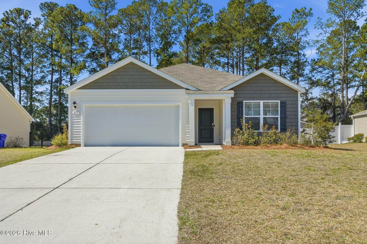 205 Wild Raven Street - Photo 1