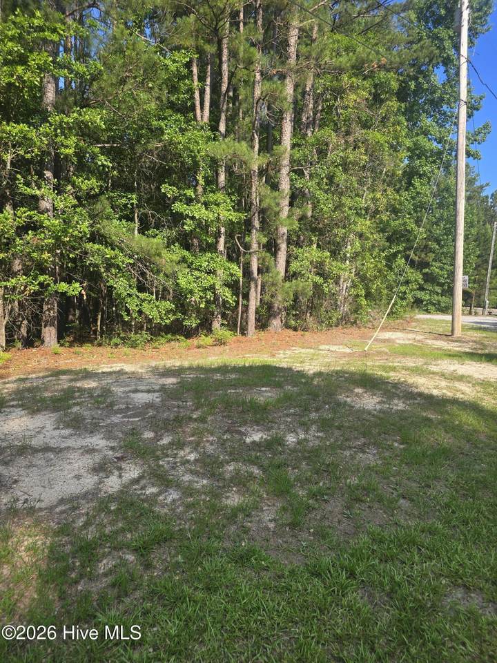 3454 Lewis Road - Photo 1