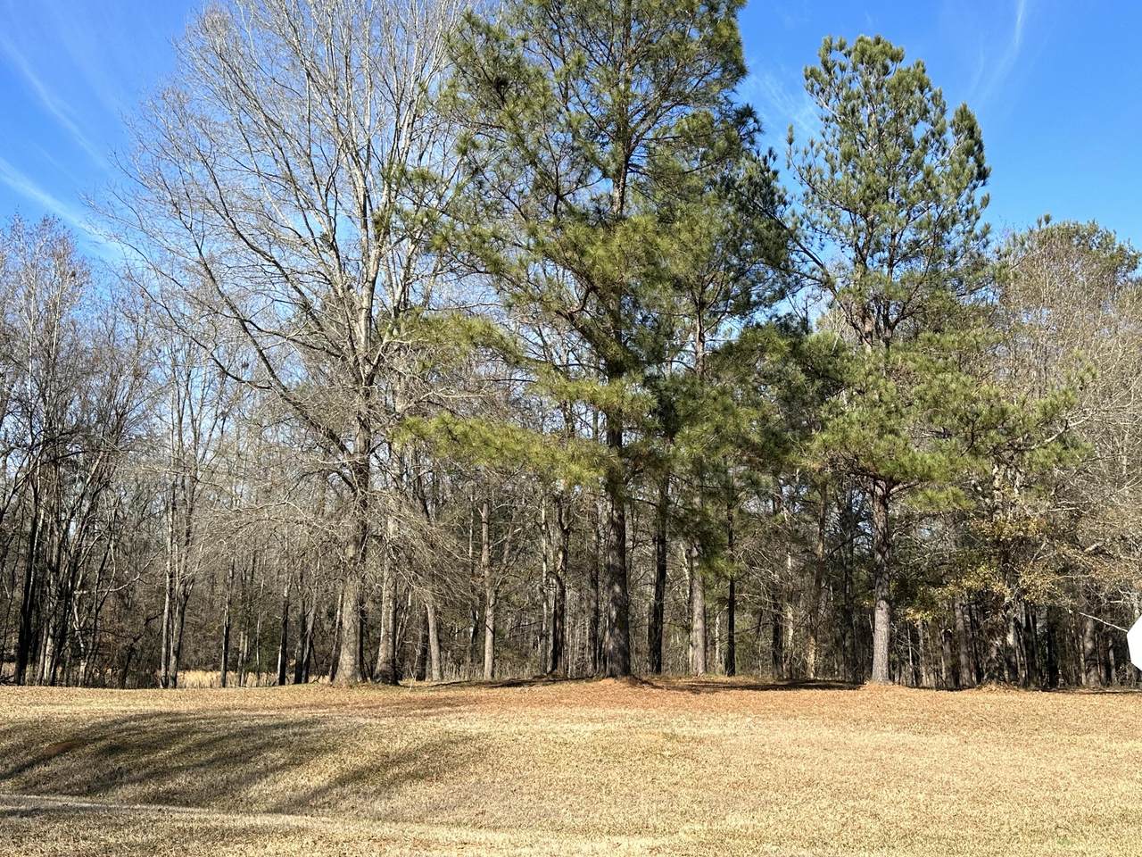 37 Crestridge Dr (Lot 37) Drive - Photo 1