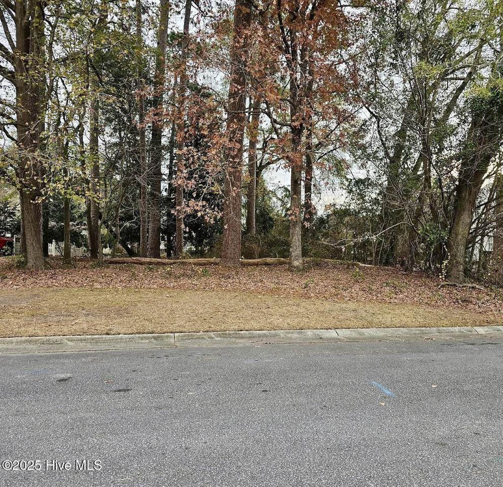 2905 Tacoma Drive - Photo 1