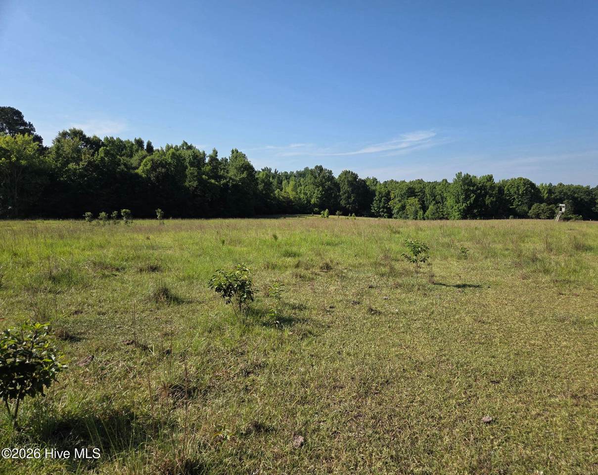 0 Rocky Branch Church Road - Photo 1