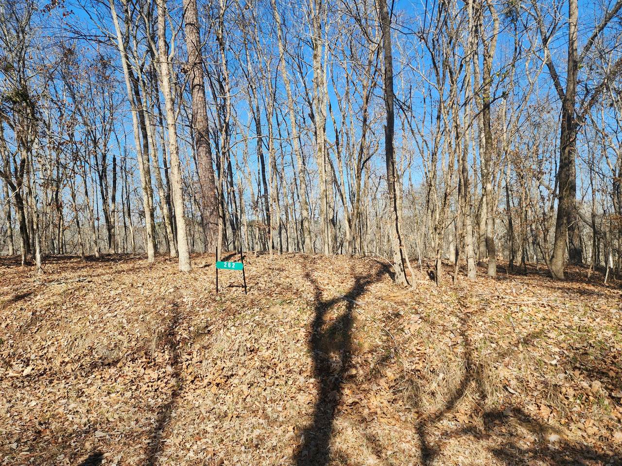 262 Goose Road - Photo 1