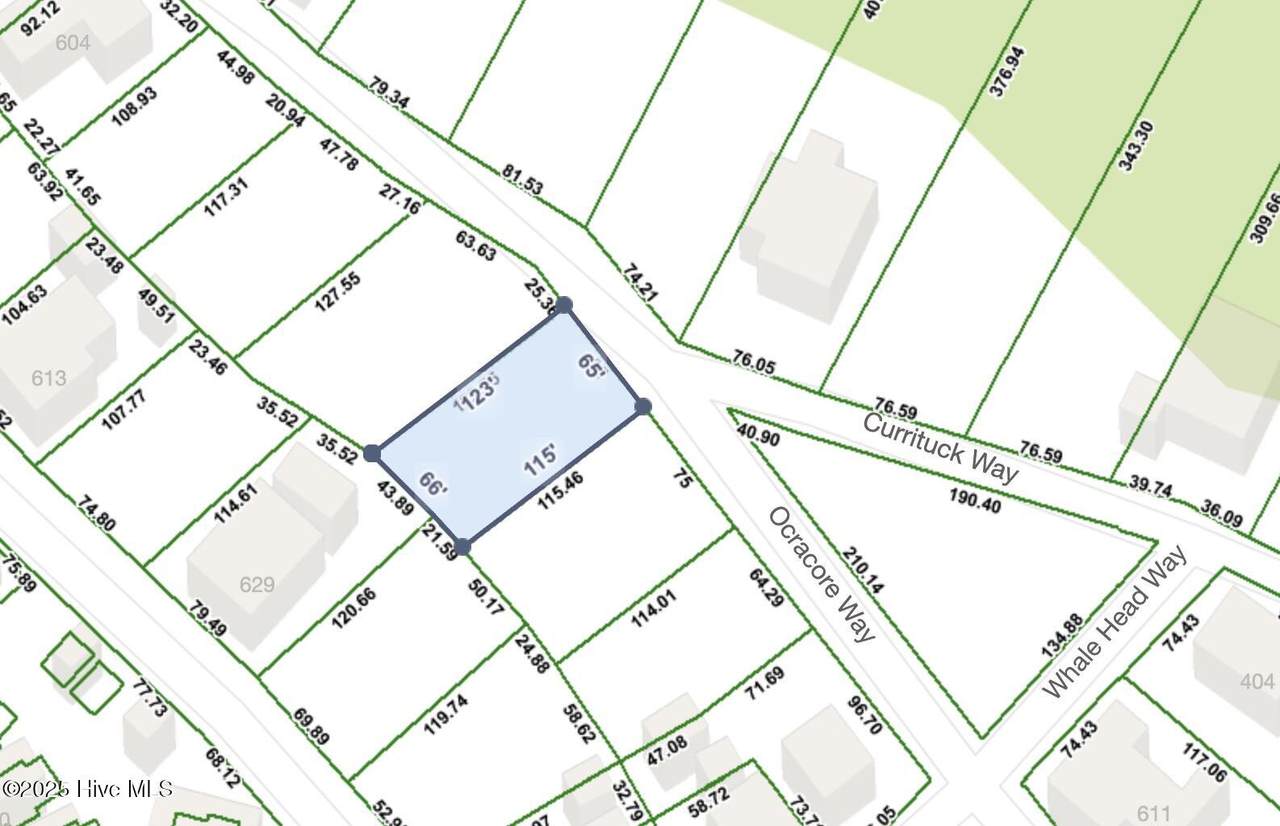 612 Currituck Way - Photo 1