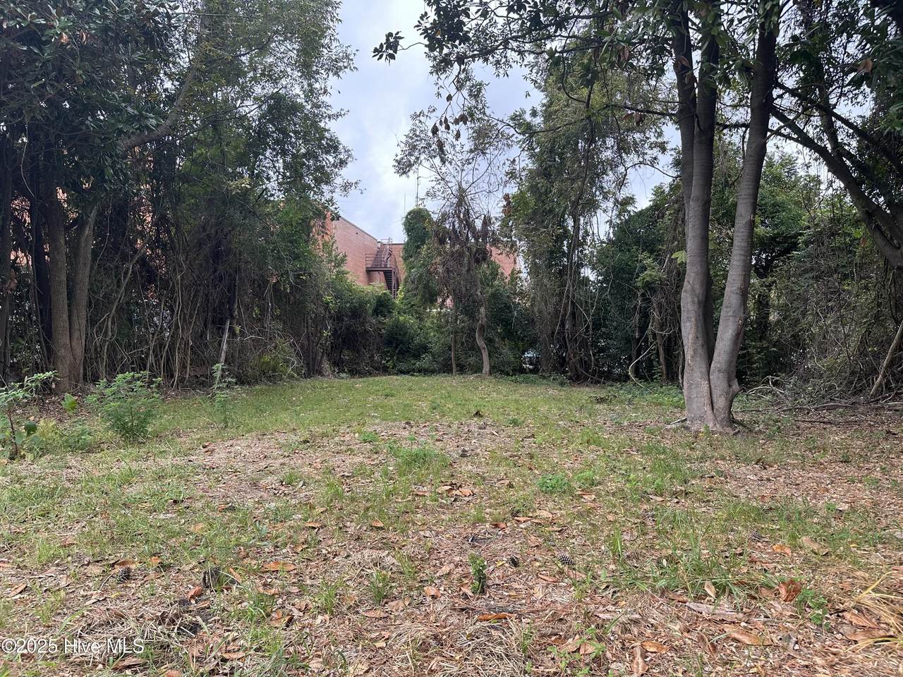 421 College Street - Photo 1