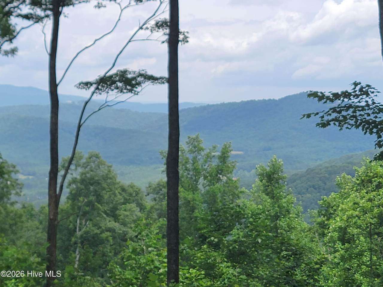 Lot 81 Scenic Mountain Way - Photo 1